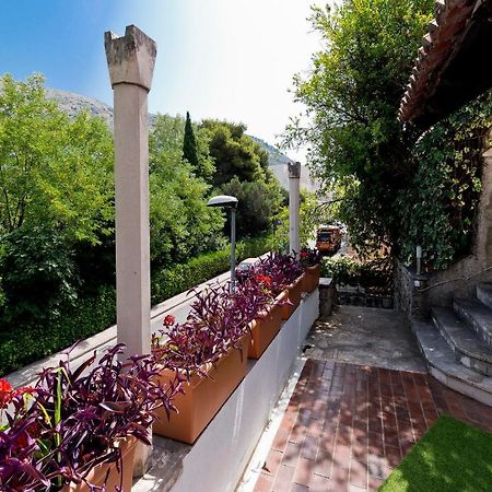 Salicula Art Gallery Dubrovnik Ngoại thất bức ảnh